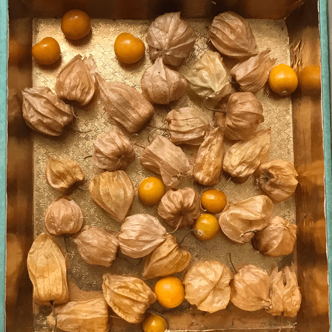 Natural Cape Gooseberries